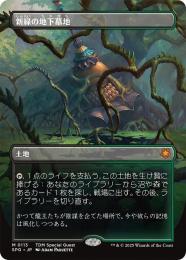 Verdant Catacombs 新緑の地下墓地FOIL023/045 MTG Verdant Catacombs