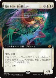 喜びあふれる太陽生まれ 拡張non foil 3枚 日本語 MTG 喜びあふれる