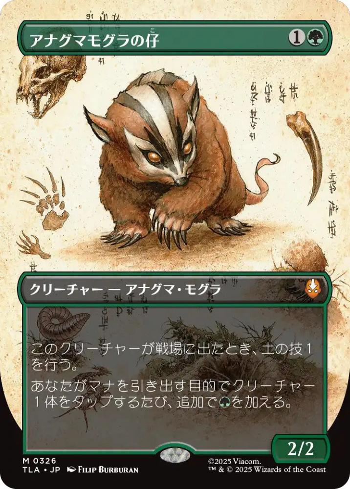 アナグマモグラの仔 英語 ボーダーレス Badgermole Cub アナグマモグラ