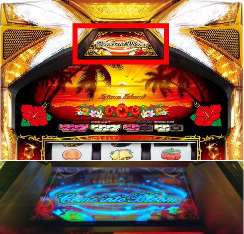 ニューハナハナゴールド-30 データカウンター付き実機 【取引限定