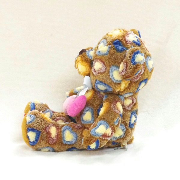 激レア】トゥルーハートベア ケアベアぬいぐるみ CareBears