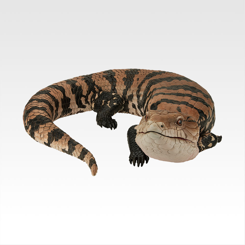 一番くじ 爬虫類＆両生類 2 A賞 アオジタトカゲ B賞 フトアゴヒゲトカゲ