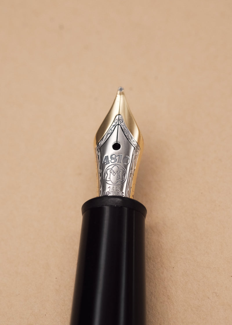 Montblanc Meisterstuck 14K 4810 Fountain Pen – 25 Dials