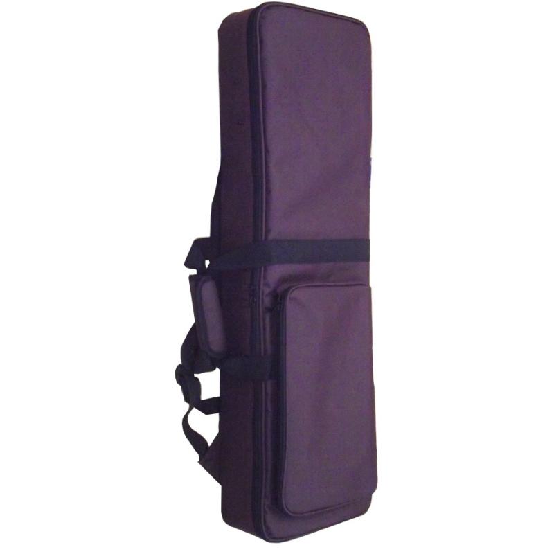 三線 沖縄 本皮強化張り、ソフトケース付 初心者 三味線 送料込み 三線