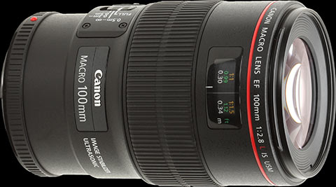 Canon EF 100mm F2.8 L IS USM Macro Review: DPReview | Photography