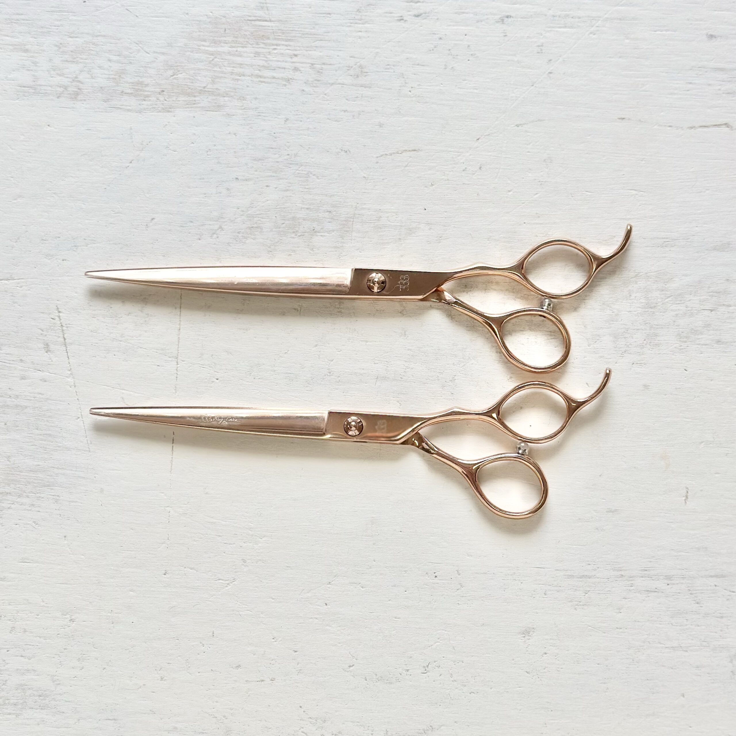 シュナやヨーキー、シーズーも狙った毛は逃さない」ギザ刃のストレート