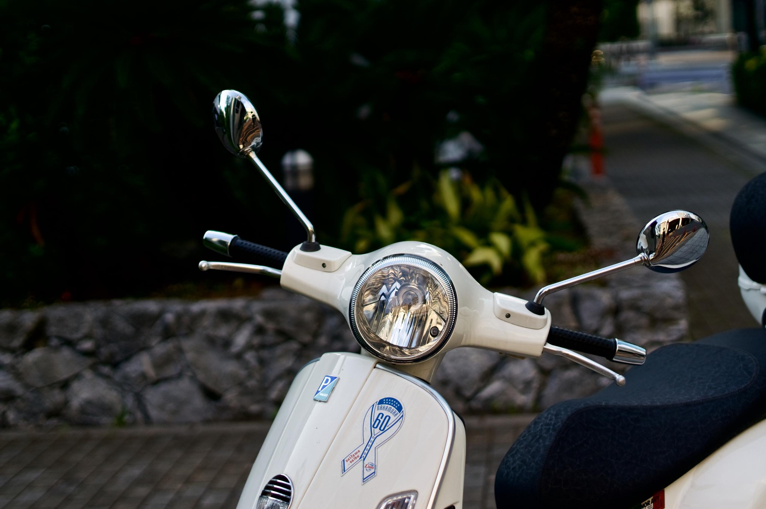 実働機 Canon F-1 FD50mm F1.4 作例あり 実働機 Canon F-1 FD50mm F1.4