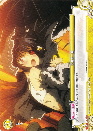 き*ん様 プリズムコネクト 閃乱カグラ スリーブ ストレイジセット き