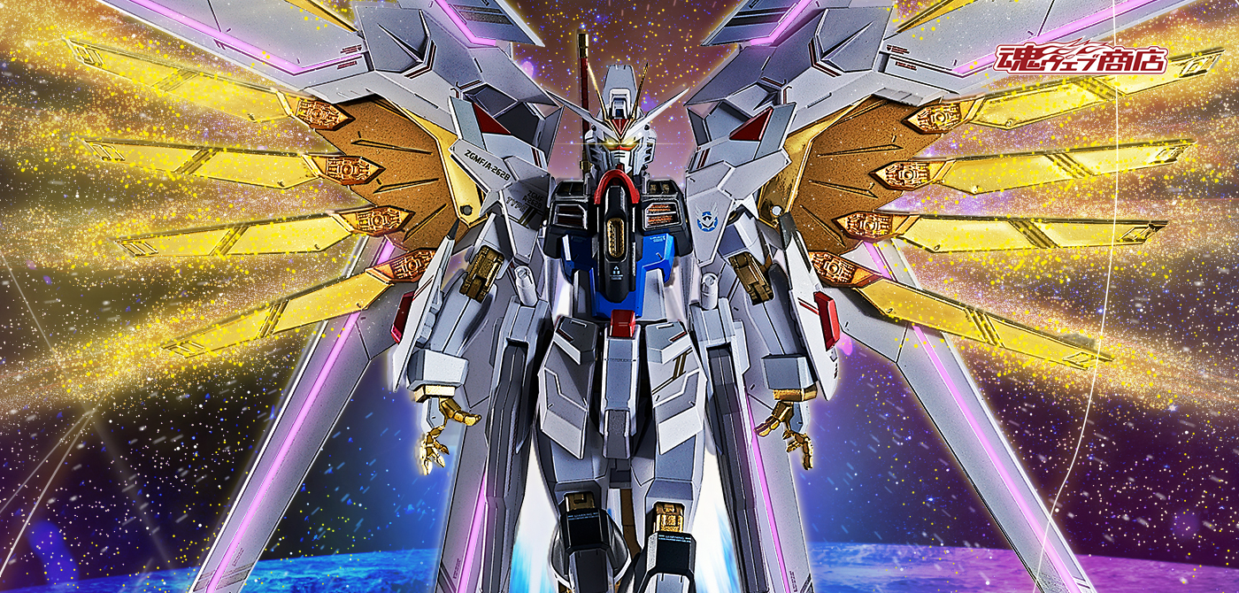 プラウドディフェンダー＆エフェクトパーツセット METAL ROBOT魂