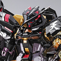 NXEDGE STYLE [MS UNIT] ストライクフリーダムガンダムVSデスティニー