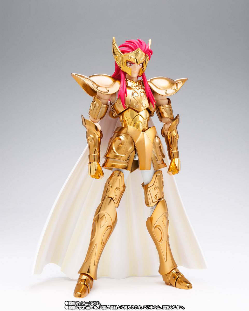 SAINT CLOTH MYTH EX AQUARIUS CAMUS ORIGINAL COLOR EDITION