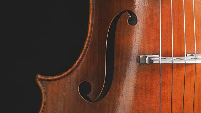 ウッドベース/コントラバス弦、太さ比較一覧表【ジャズ・クラシック