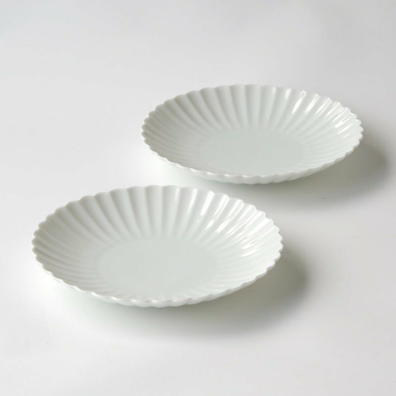 白菊（しらぎく） 白菊 大皿〈1枚〉 美濃焼 |皿や鉢など和食器の通販は