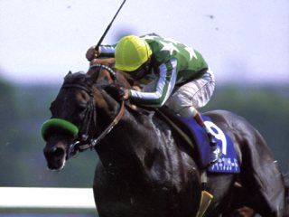 タイキブリザード | 大樹レーシングクラブ公式サイト