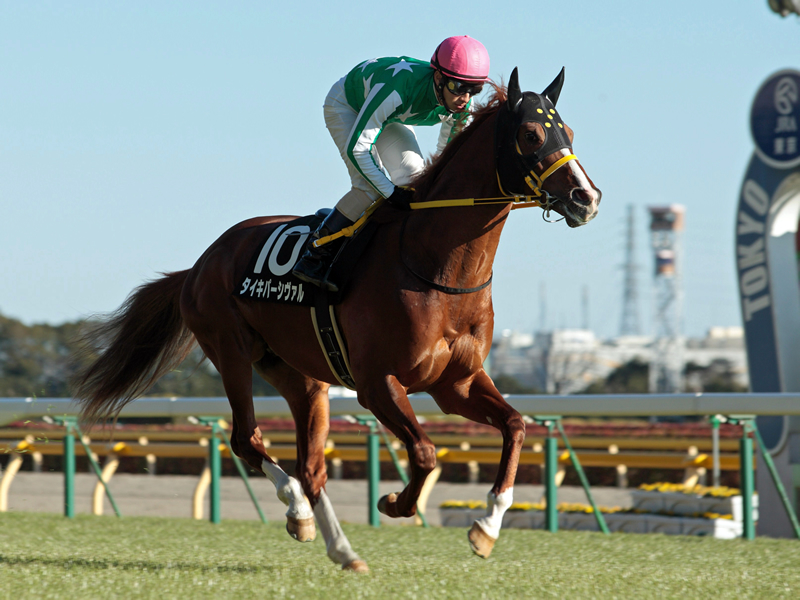 活躍馬リスト | 大樹レーシングクラブ公式サイト