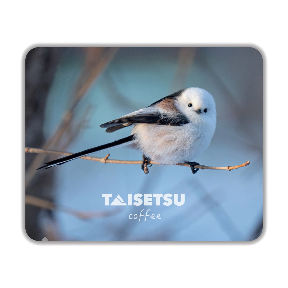 B095FE48-ED00-4203-892F-