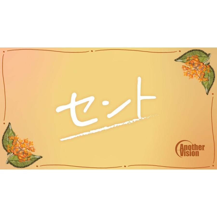 謎と発見のセレクトショップ】TAKARA PORT（タカラポート）セント