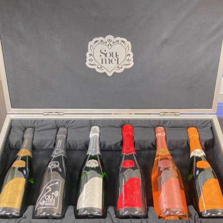 ソウメイアタッシュケース ♡ソウメイアタッシュケース♡6本用♡ケース