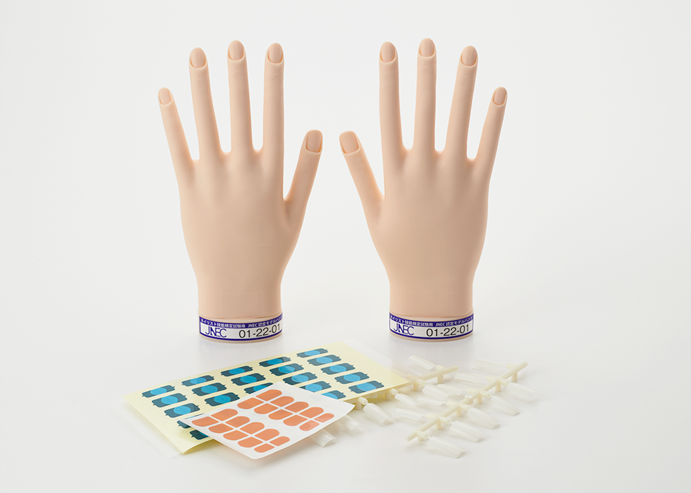 認定モデルハンド(骨折なし) 認定モデルハンド 骨折なし ネイリスト