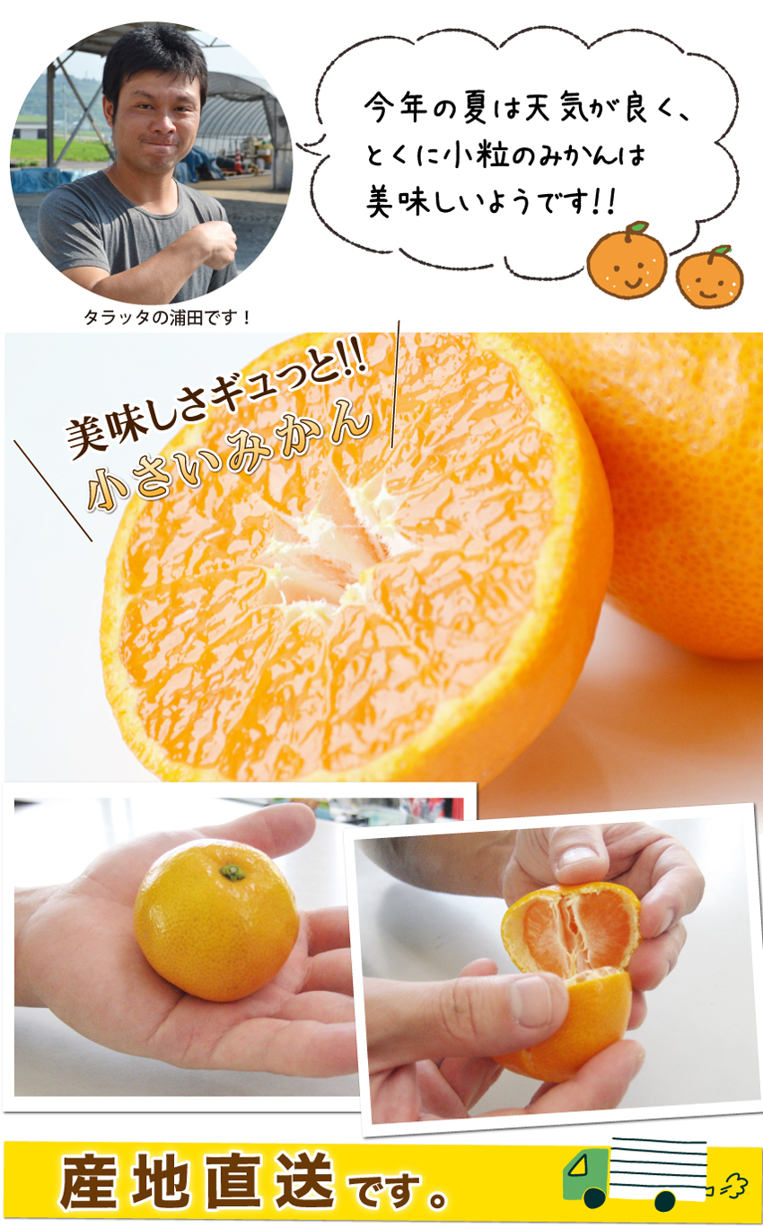 ツウ好み！小さいサイズのミカンだけ ひとしずく 9kg