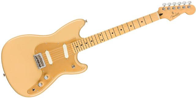 N*A様 フェンダー ヴィンテージデュオソニックネック コンポーネント