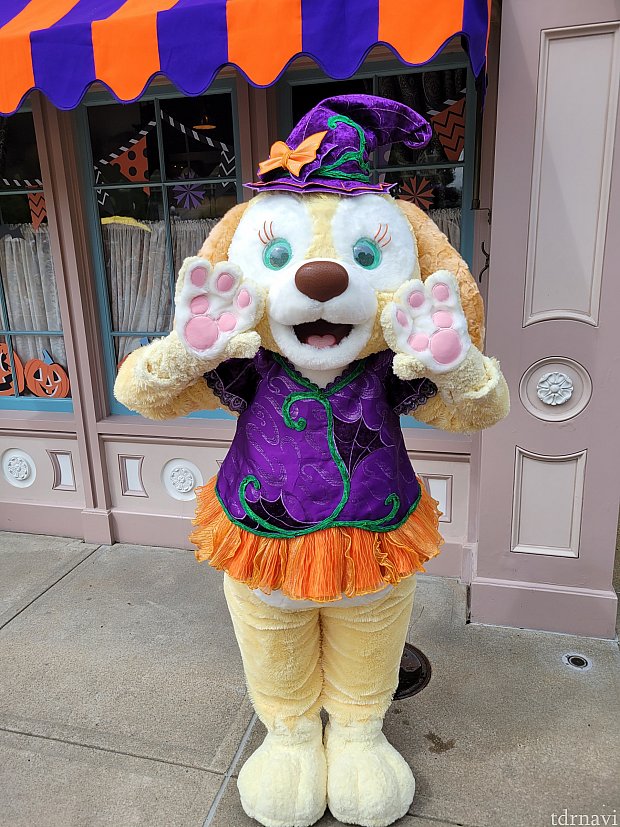 ディズニー クッキー アン 香港 ハロウィン ぬいぐるみ ss サイズ