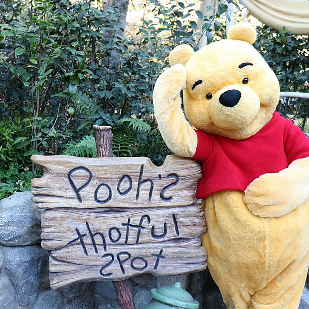 一度にプーさん、イーヨー、ティガーに会えました😍 | キャラクター