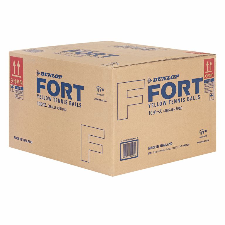 DUNLOP FORT テニスボール 2球×30缶 新品 ※最後の1セット ダンロップ