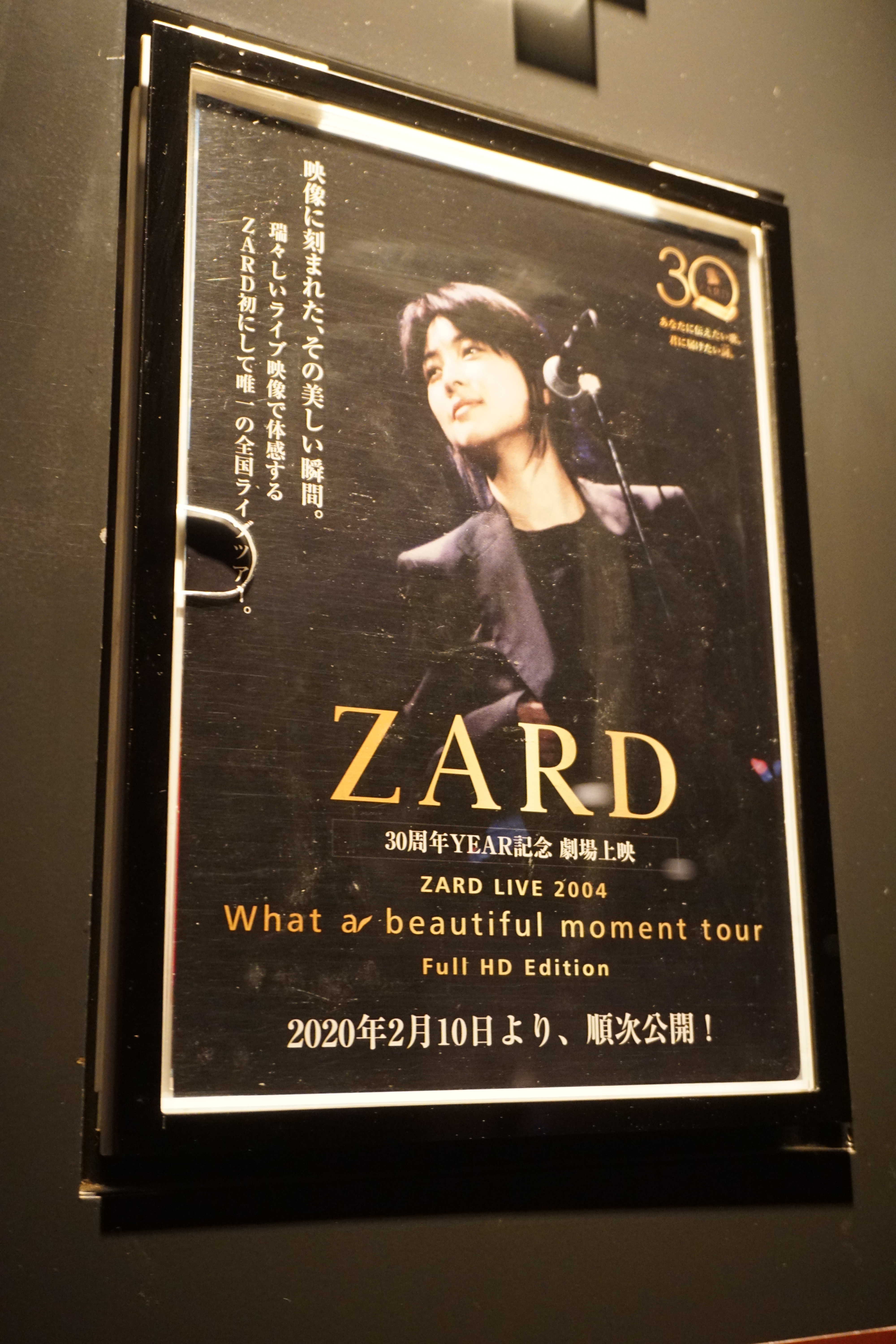 ZARD what a beautiful moment 【チェア】
