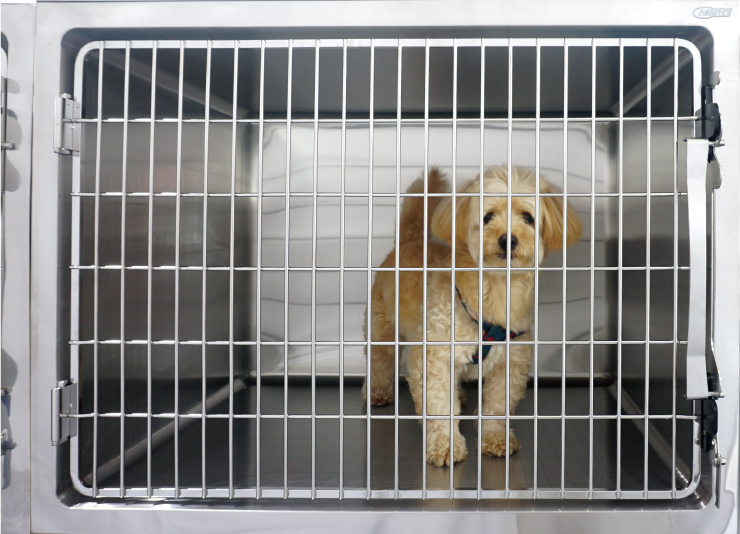 ミライケージ 犬用｜ステンレスケージ｜動物用医療機器メーカー東京