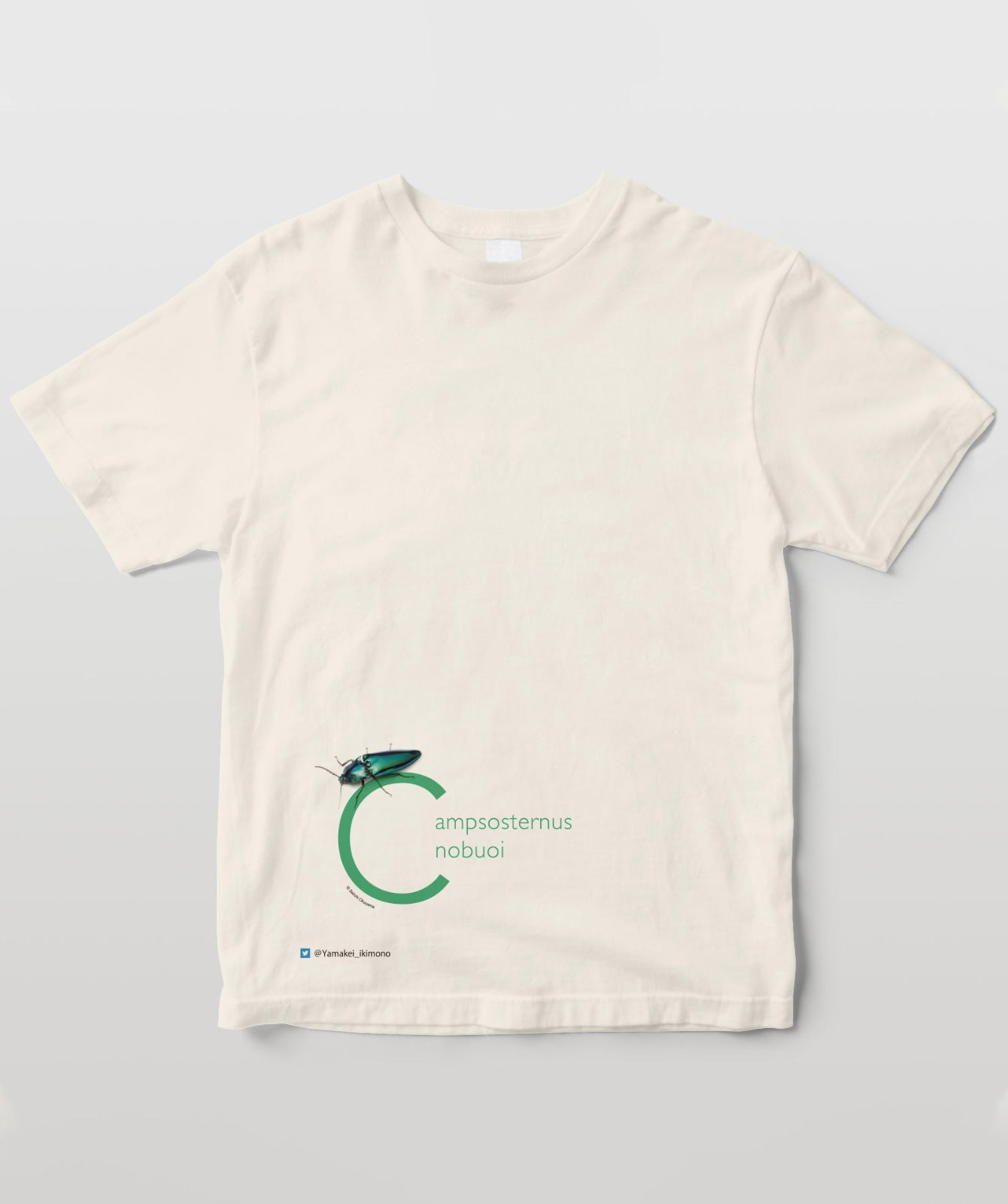 ノブオオオアオコメツキ – T-OD（株式会社リットーミュージック