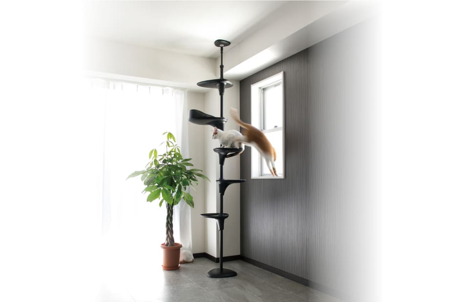 Cat Forest-2（キャットフォレスト ツー）｜OPPO （オッポ） 犬・猫