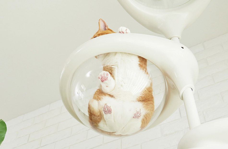 CatForest-2 option（キャットフォレスト ツーオプション）｜OPPO