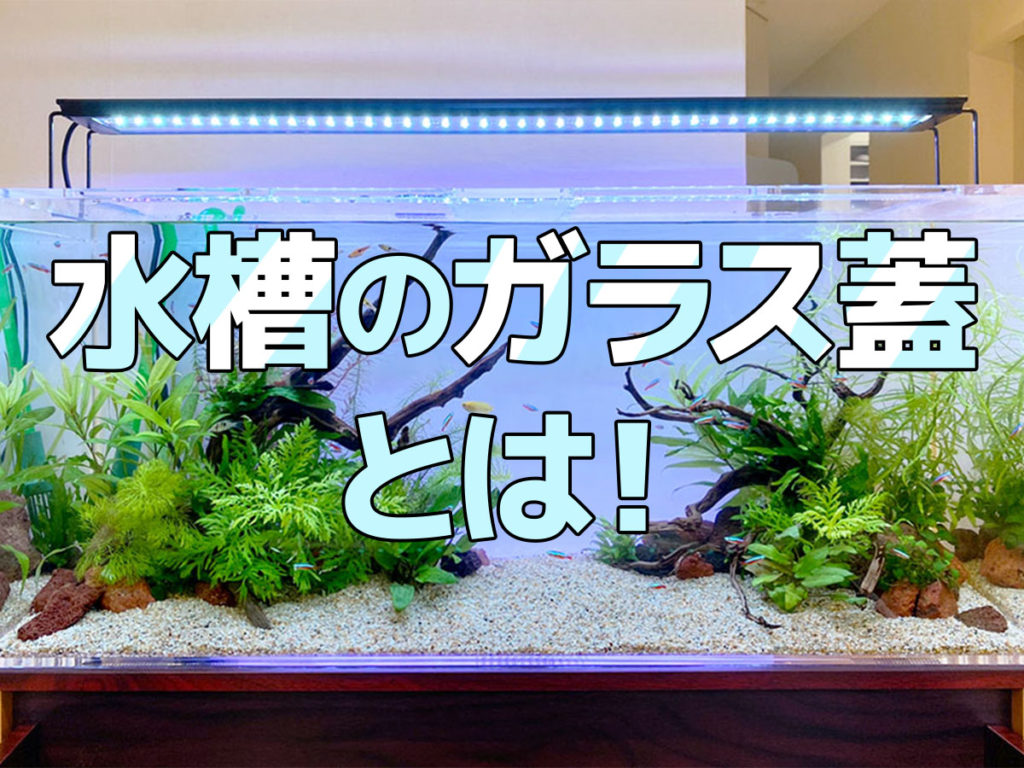 120cmガラス水槽 4枚ガラス蓋＆LEDライト＆流木付き