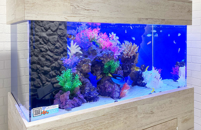 ✏新品アク抜き不要 人工ライブロック レプリカ 60cm以上海水水槽用