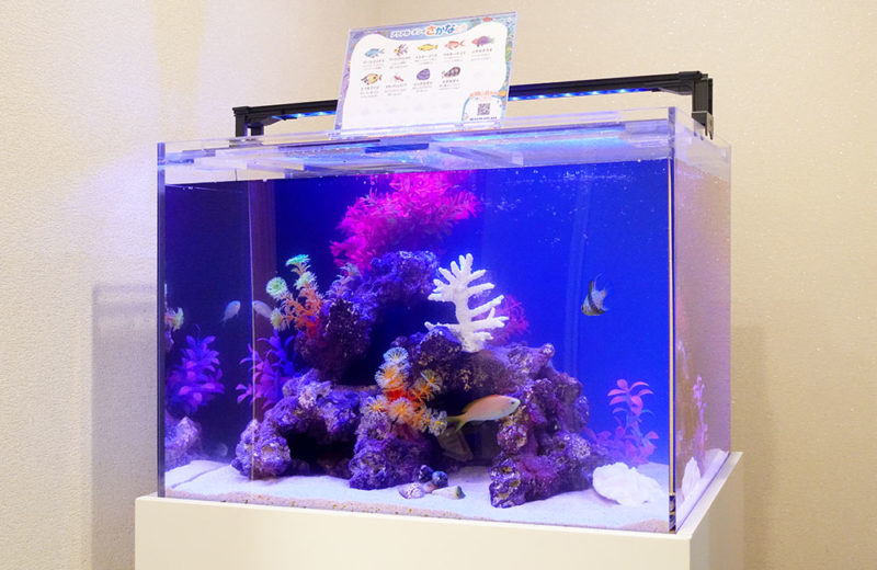 ✐プラグ穴付き 新品 人工ライブロック 60cm海水水槽用 レプリカ 安い1