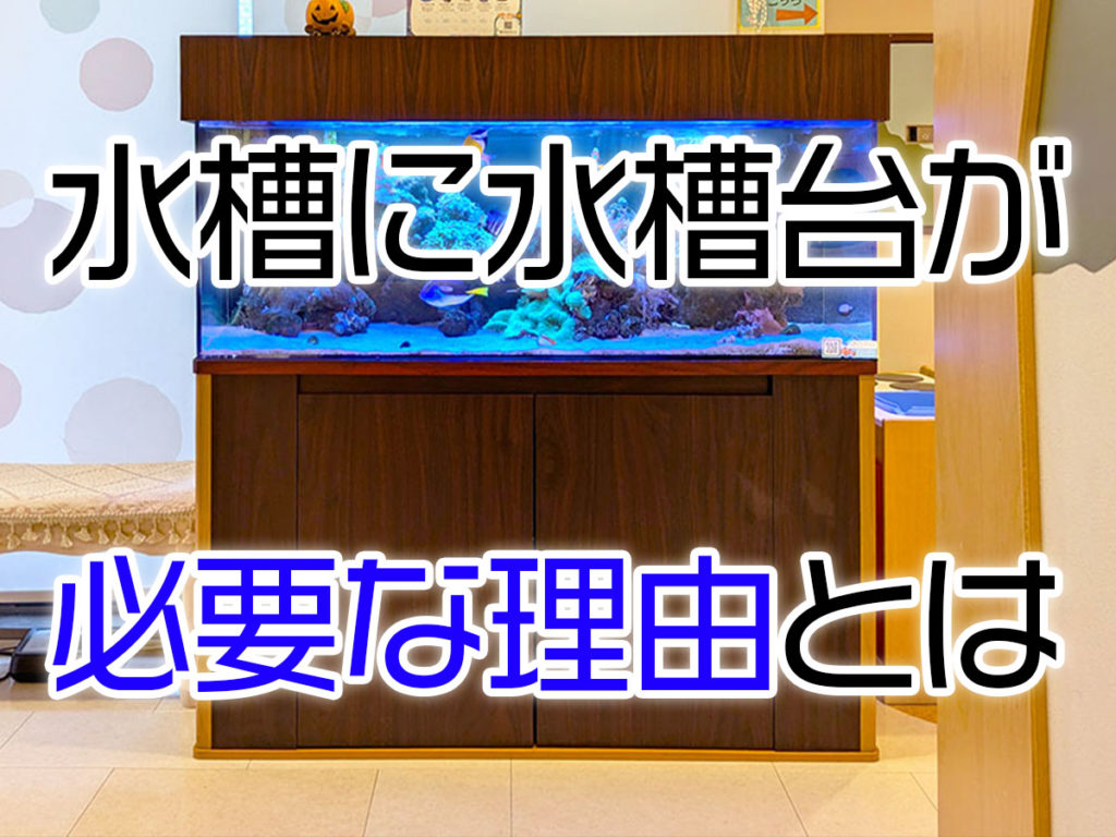 60㎝ワイド（600×450㎜）水槽用 特注キャビネット 60㎝ワイド（600×