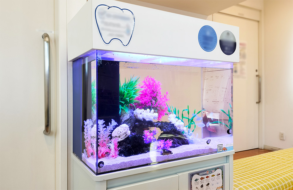 AQUA 引取限定 カンテツ水槽 上下2段セット 東京練馬区 AQUA 引取限定