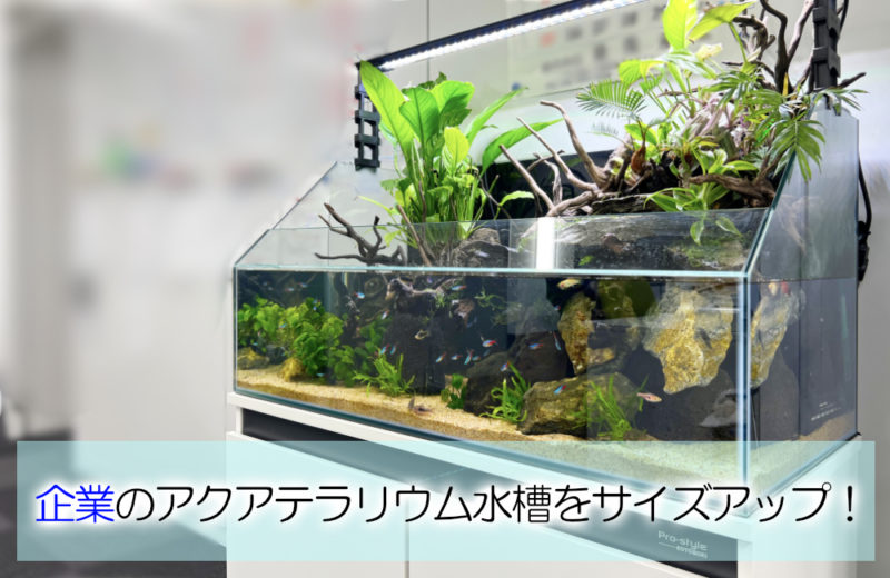アクアテラリウム水槽のレンタル・リース｜東京アクアガーデン