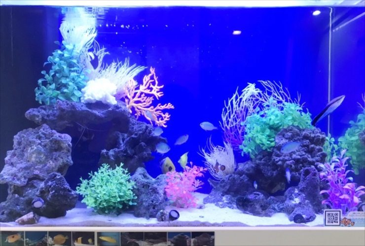 人工ライブロックを作ってみた-リセット&レイアウト編 | Nの適当ブログ