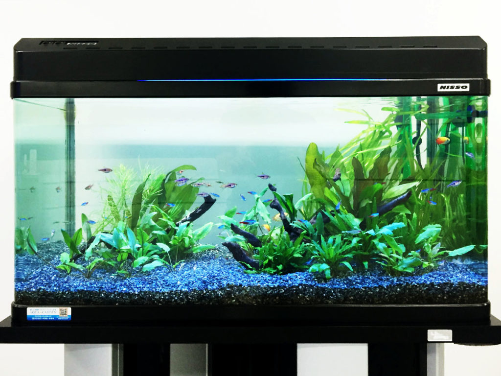 120㌢ガラス水槽☆フルセット☆大型水槽☆引き取り限定！！ 120センチ水槽