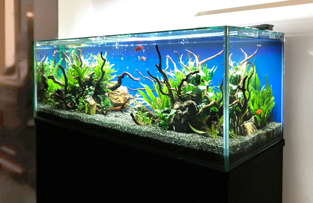 904545水槽セット