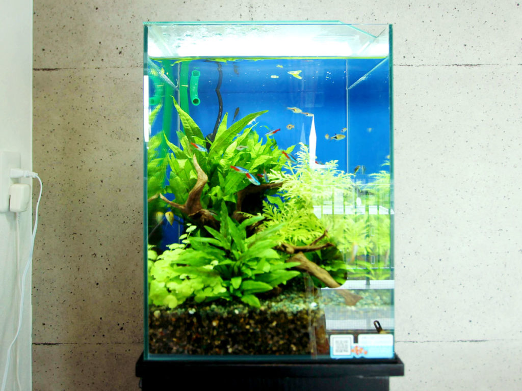 2026年・おすすめ人気の小型ろ過フィルター10選・30cm小型水槽でも安心