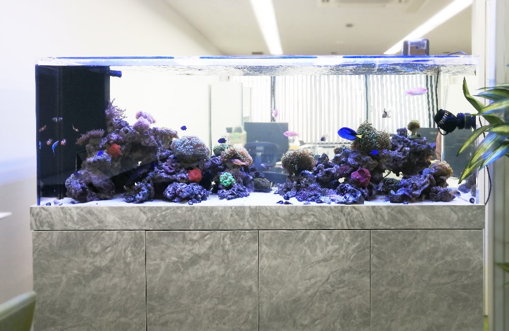 海水魚水槽90セット・スキマー・ポンプ付き 海水魚水槽90セット