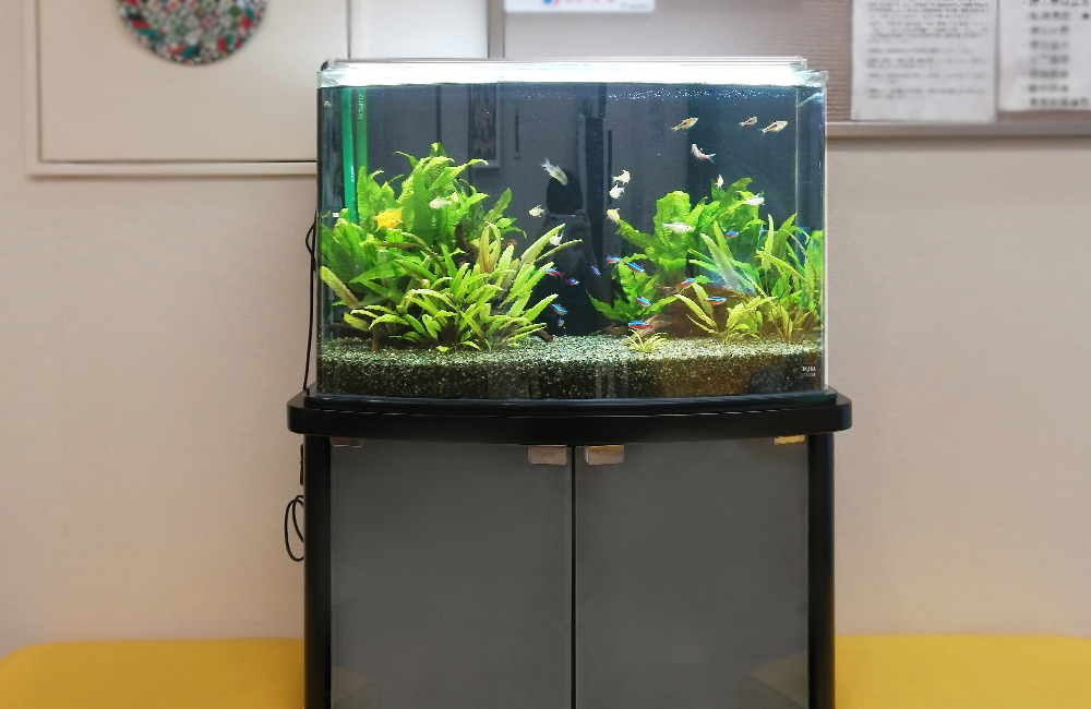 ADA ライトスクリーン60センチ ADA ライトスクリーン 60 ADA ライト