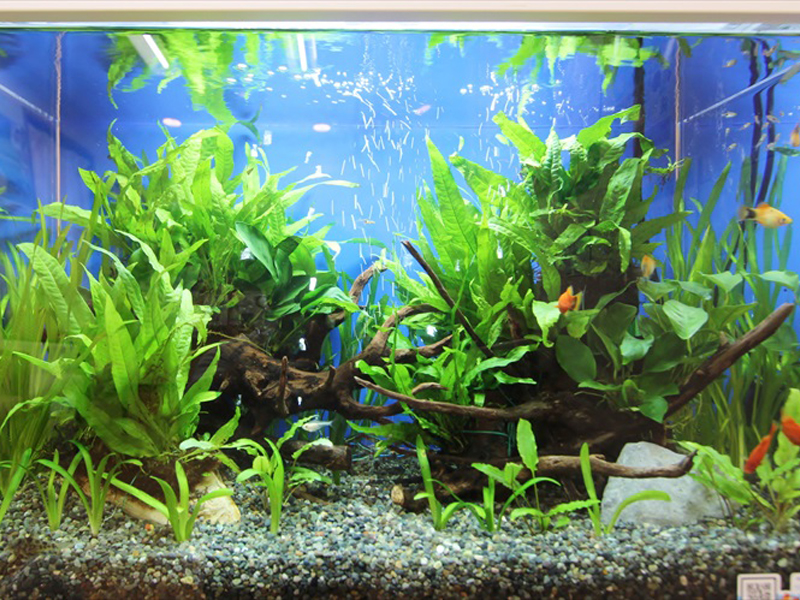 大磯砂利 細目40kg 底砂ろ材