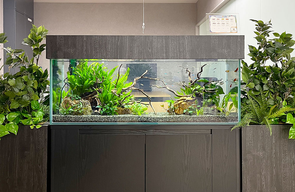 MMW-6135 マシンガンウッドレイアウトセット 60cm水槽用 流木 MMW-6135