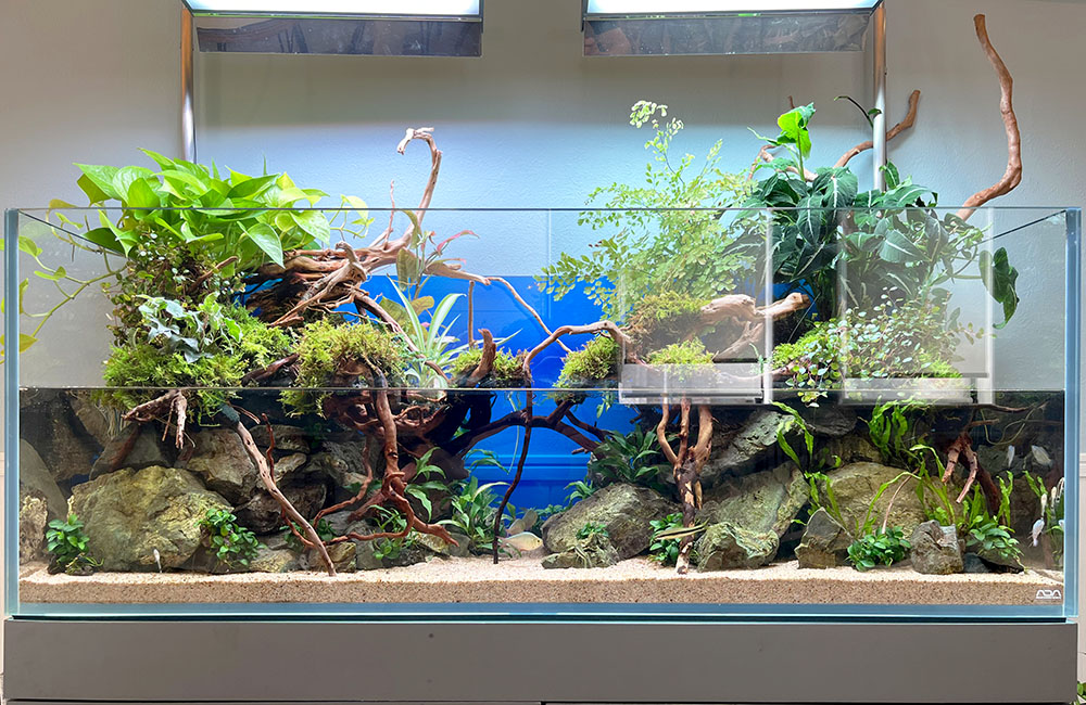 滝の流れる30cmキューブアクアテラリウム【レイアウト済みアクア