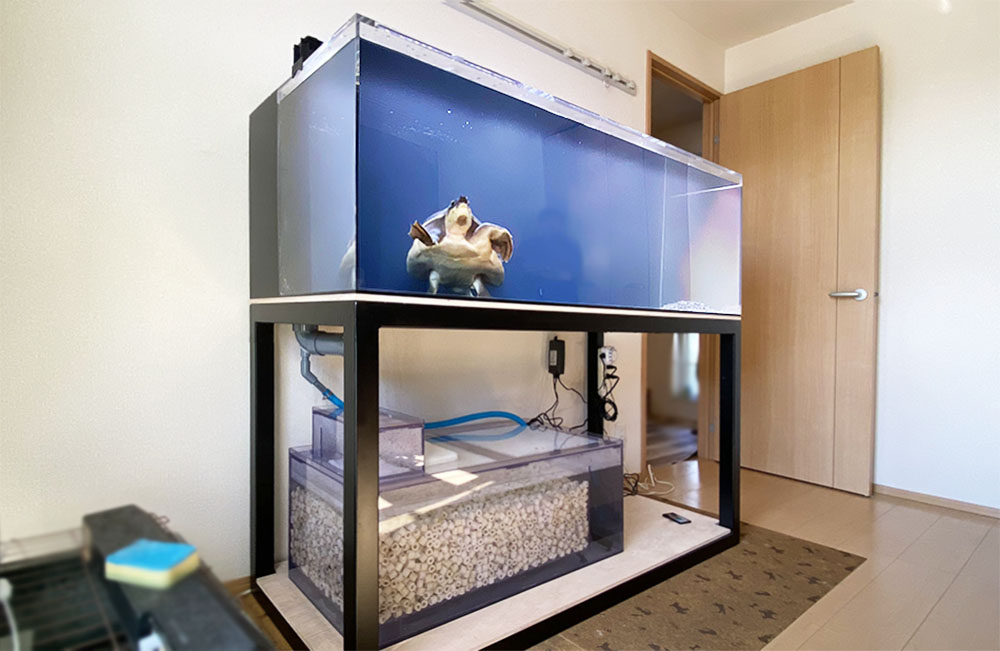 神奈川県横浜市 個人宅様 150cmオーバーフロー水槽一式販売・設置事例