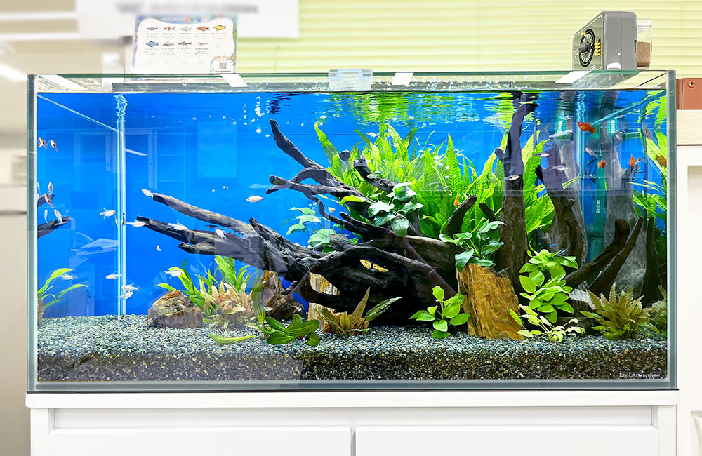 JUNスレンダー水槽 二階建て水槽 90cm水槽 引取限定